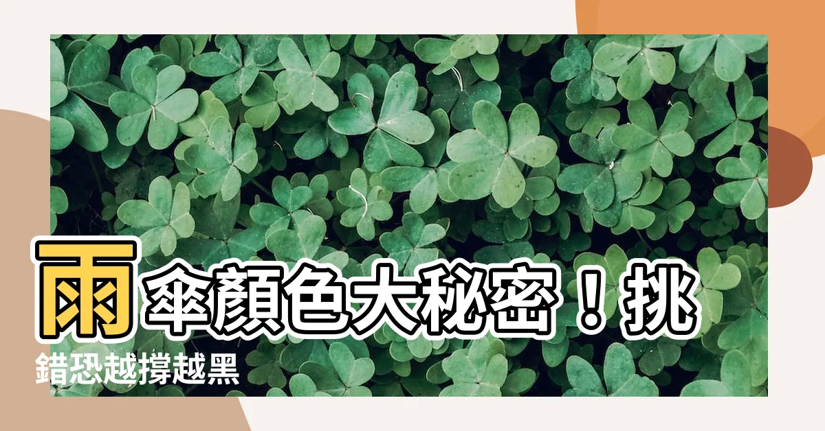 【雨傘 顏色】雨傘顏色大秘密！挑錯恐越撐越黑
