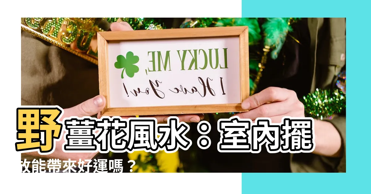 【野薑花風水】野薑花風水：室內擺放能帶來好運嗎？