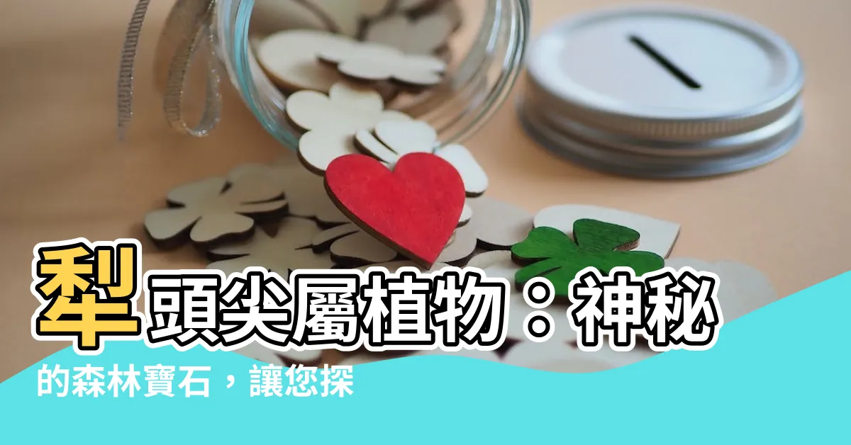 【犁頭尖屬】犁頭尖屬植物：神秘的森林寶石，讓您探索大自然的奧妙
