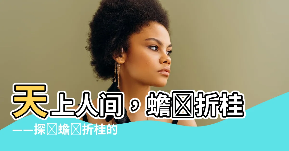 【蟾宮折桂 意思】天上人間，蟾宮折桂——探尋蟾宮折桂的深刻含義