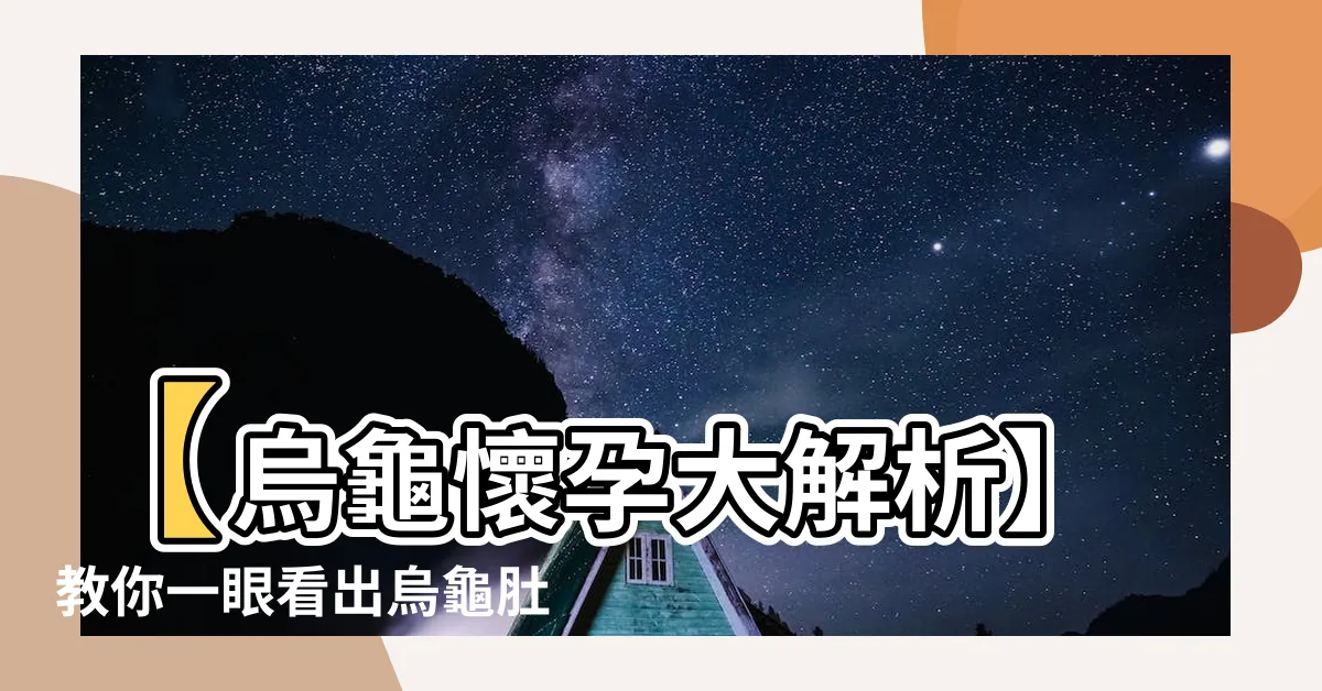 【烏龜懷孕怎麼看】【烏龜懷孕大解析】教你一眼看出烏龜肚裡到底藏了什麼