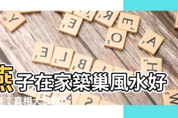 【燕子在家築巢好嗎】燕子在家築巢風水好不好？真相大公開！