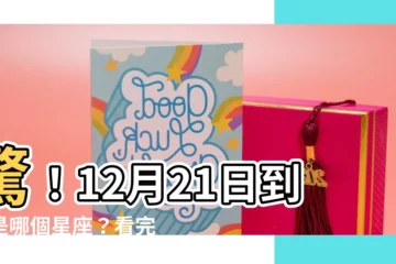 【12 21 星座】驚！12月21日到底是哪個星座？看完這篇就懂了！