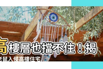 【高樓層會有老鼠嗎】高樓層也擋不住！揭開老鼠入侵高樓住宅的驚人秘密