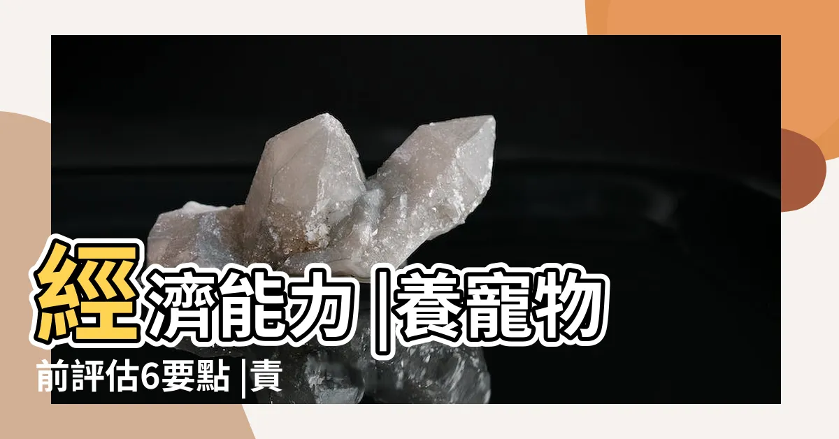 【養寵物注意事項】經濟能力 |養寵物前評估6要點 |責任感都應列入考量 |
