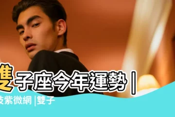 【雙子座今年的運勢查詢】雙子座今年運勢 |科技紫微網 |雙子座今日運勢 |