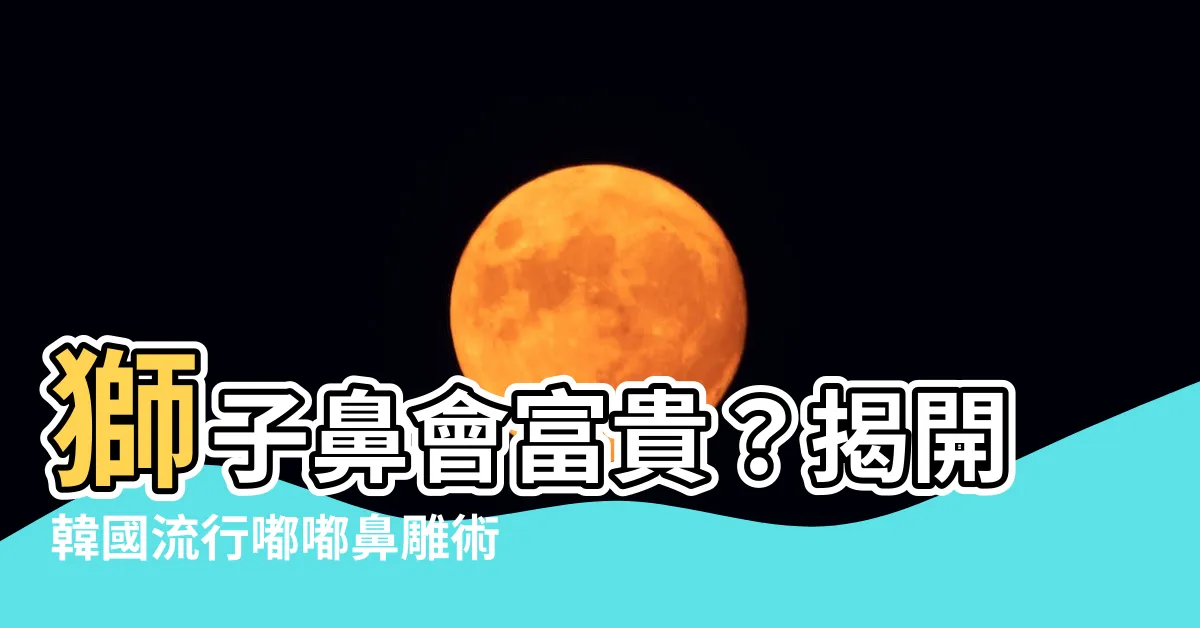 【獅子鼻】獅子鼻會富貴？揭開韓國流行嘟嘟鼻雕術的神秘面紗