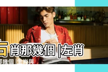 【右的生肖】右肖那幾個 |左肖是那幾個 |生肖與藝術 |