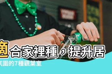 【適閤家裡種的植物】適閤家裡種，提升居家氛圍的7種觀葉室內盆栽推薦