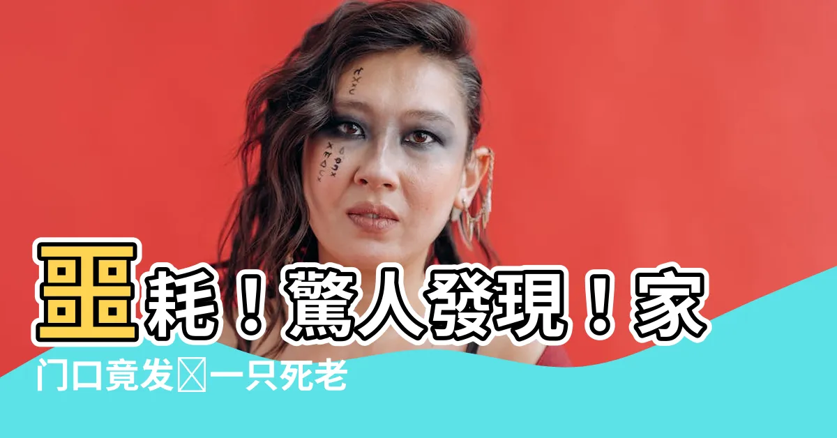 【老鼠死在家門口】噩耗！驚人發現！家門口竟發現一隻死老鼠！