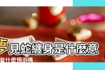 【夢兩條蛇纏住手腳】夢見蛇纏身是什麼意思 |有什麼預示嗎 |周公解夢夢見被蛇纏身是什麼意思 |