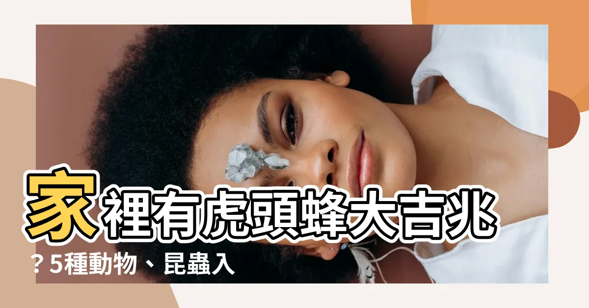 【家裡有虎頭蜂代表什麼】家裡有虎頭蜂大吉兆？5種動物、昆蟲入侵，其實是好運上門