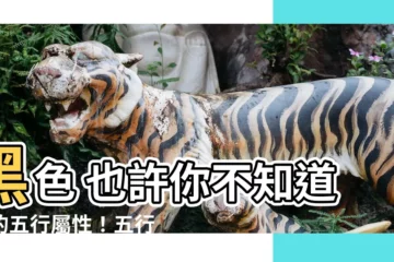 【黑色 五行】黑色 也許你不知道它的五行屬性！五行屬金用黑色真的合適嗎？