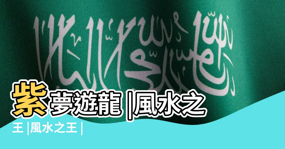 【風水之王】紫夢遊龍 |風水之王 |風水之王 |