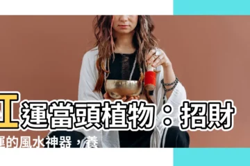 【紅運當頭植物】紅運當頭植物：招財開運的風水神器，養護秘訣大公開！
