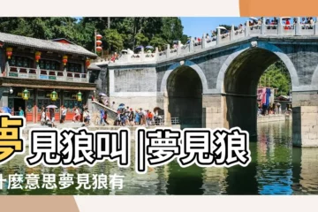 【周公解夢 狼哭】夢見狼叫 |夢見狼是什麼意思夢見狼有什麼預兆 |周公解夢 |