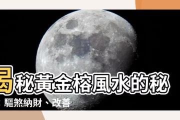 【黃金榕風水】揭秘黃金榕風水的秘密：驅煞納財、改善運勢