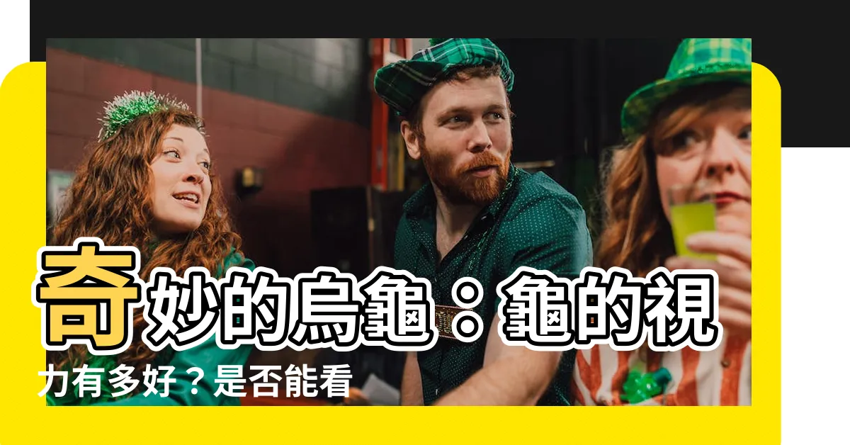 【烏龜看得到嗎】奇妙的烏龜：龜的視力有多好？是否能看得到？