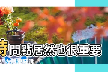 【左眼皮跳財是真的嗎】時間點居然也很重要 |最近左眼皮狂跳 |這時辰跳右眼 |