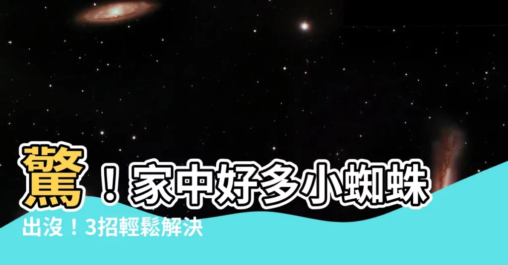 【很多小蜘蛛】驚！家中好多小蜘蛛出沒！3招輕鬆解決