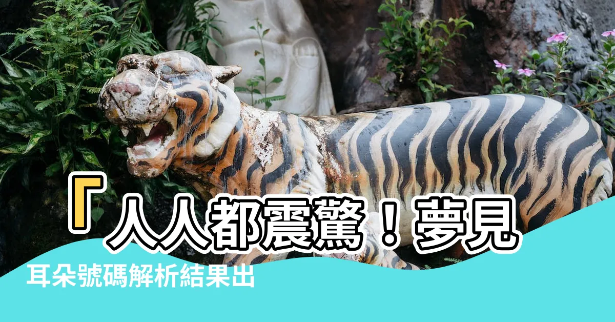 【夢見耳朵號碼】「人人都震驚！夢見耳朵號碼解析結果出爐！不看後悔終生！」