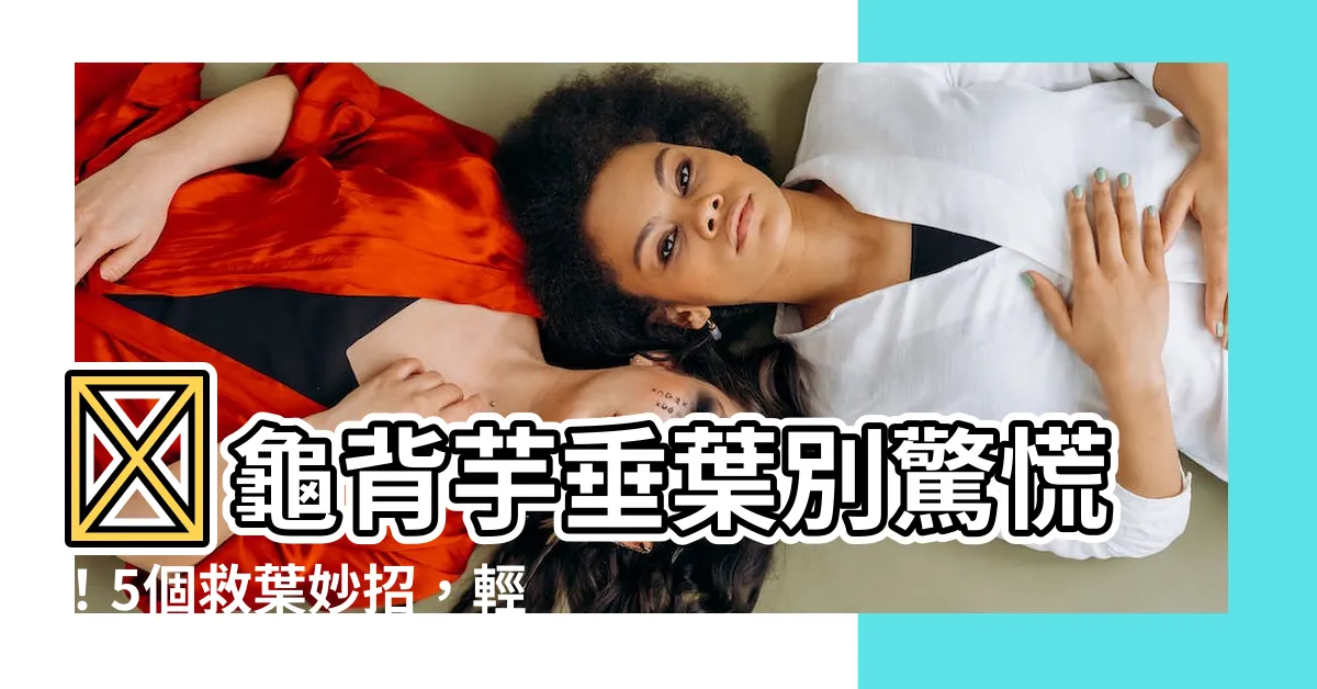 【龜背芋 葉子垂】😲龜背芋垂葉別驚慌！5個救葉妙招，輕鬆讓它葉子挺立有精神！