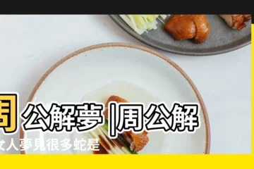 【做生意的夢見很多蛇】周公解夢 |周公解夢女人夢見很多蛇是什麼意思 |夢見到處都是蛇 |