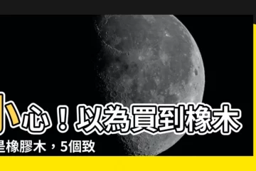 【橡膠木缺點】小心！以為買到橡木卻是橡膠木，5個致命缺陷大公開