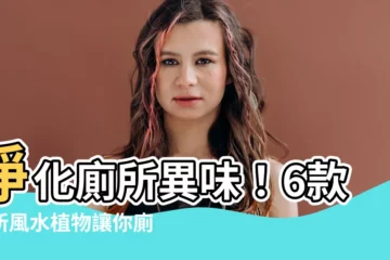 【淨化廁所植物風水】淨化廁所異味！6款廁所風水植物讓你廁所又香又漂亮