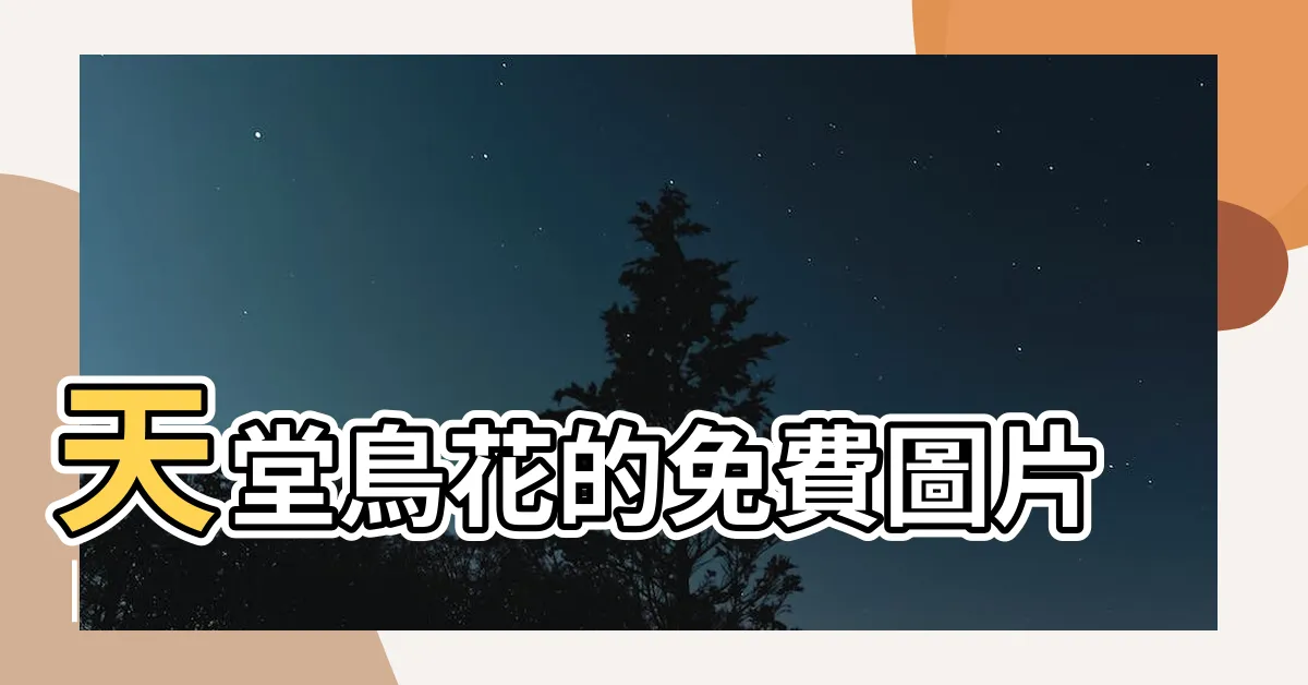【鳥花】天堂鳥花的免費圖片 |
