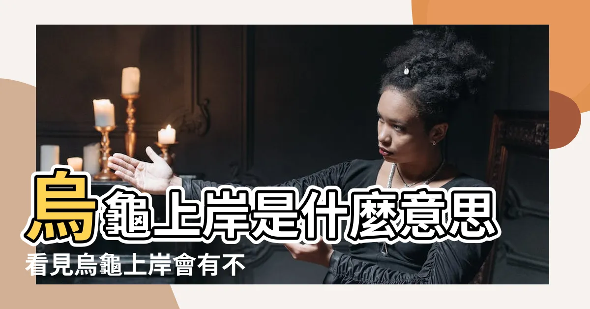 【烏龜上岸】烏龜上岸是什麼意思看見烏龜上岸會有不好的預兆嗎 |真實記錄烏龜上岸的全過程 |結尾悟出一條人生哲理 |