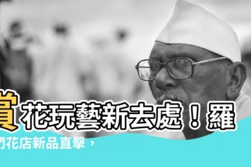 【羅馬門】賞花玩藝新去處！羅馬門花店新品直擊，搶先看！
