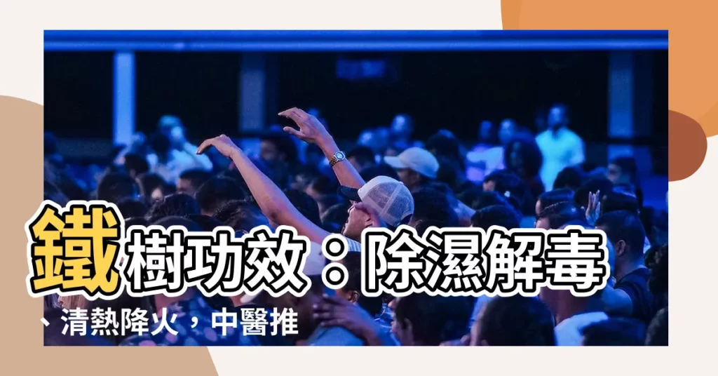 【鐵樹功效】鐵樹功效：除濕解毒、清熱降火，中醫推薦的慢性肝炎良藥