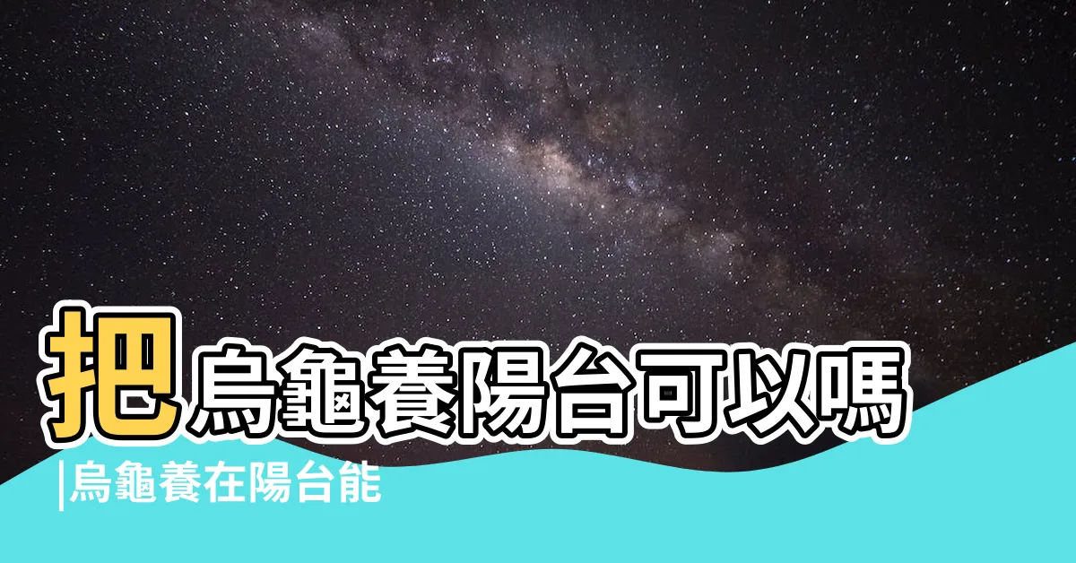 【烏龜可以養在陽台嗎】把烏龜養陽台可以嗎 |烏龜養在陽台能旺財嗎可以在陽台 |各種環境注意事項 |