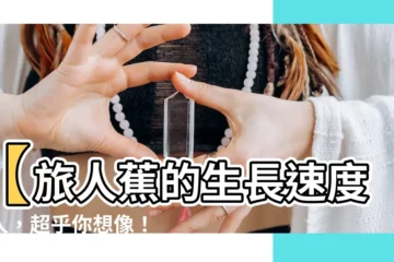 【旅人蕉生長速度】【旅人蕉的生長速度驚人，超乎你想像！】