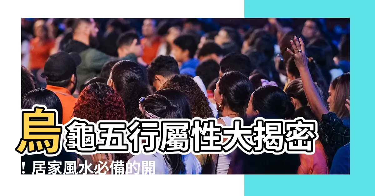 【烏龜屬性】烏龜五行屬性大揭密！居家風水必備的開運神器