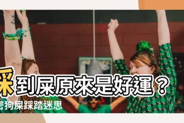 【踩到屎】踩到屎原來是好運？解密狗屎踩踏迷思