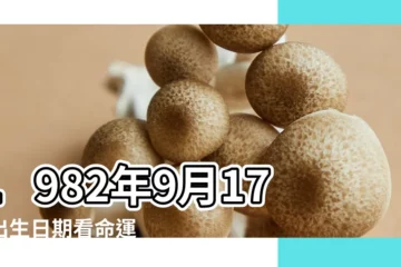 【1982年9月17】1982年9月17日出生日期看命運 |是什麼命 |農曆1982年9月17日生日算命 |