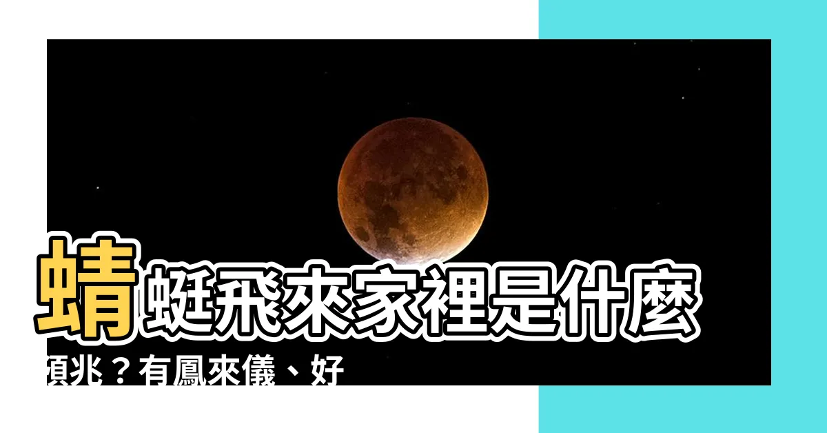 【蜻蜓來家裡】蜻蜓飛來家裡是什麼預兆？有鳳來儀、好運到？