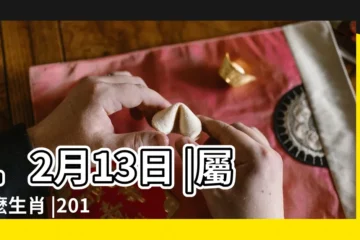 【2017年年12月13日】12月13日 |屬什麼生肖 |2017年12月13日出生時間看命運 |
