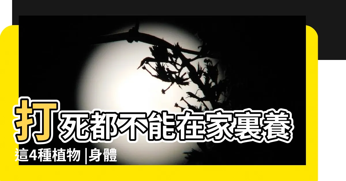 【家裡種夜來香好嗎】打死都不能在家裏養這4種植物 |身體不好的人 |夜來香雖香雖美 |