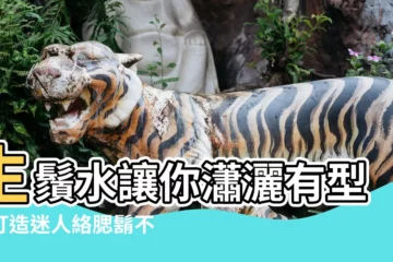 【生鬚水】生鬚水讓你瀟灑有型！打造迷人絡腮鬍不再是夢