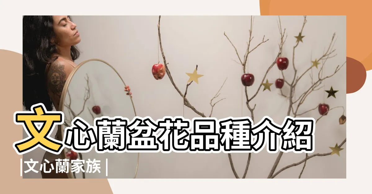 【文心蘭 品種】文心蘭盆花品種介紹 |文心蘭家族 |文心蘭切花之栽培品種 |