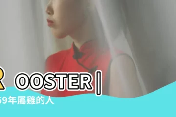 【69年4月生人2018年運程】ROOSTER |1969年屬雞的人2018年運程 |2018 |