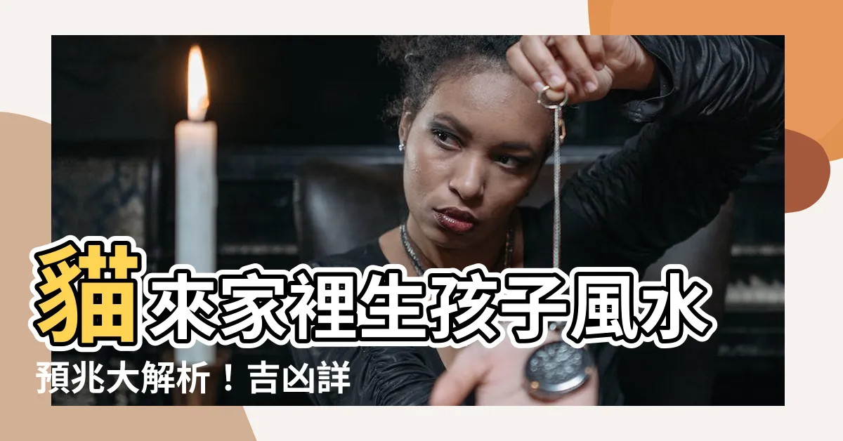 【貓來家裡生孩子風水】貓來家裡生孩子風水預兆大解析！吉凶詳解一次報你知