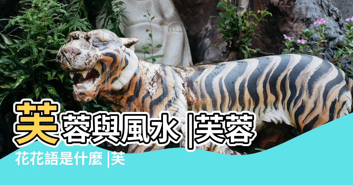 【芙蓉風水】芙蓉與風水 |芙蓉花花語是什麼 |芙蓉花花語是什麼 |