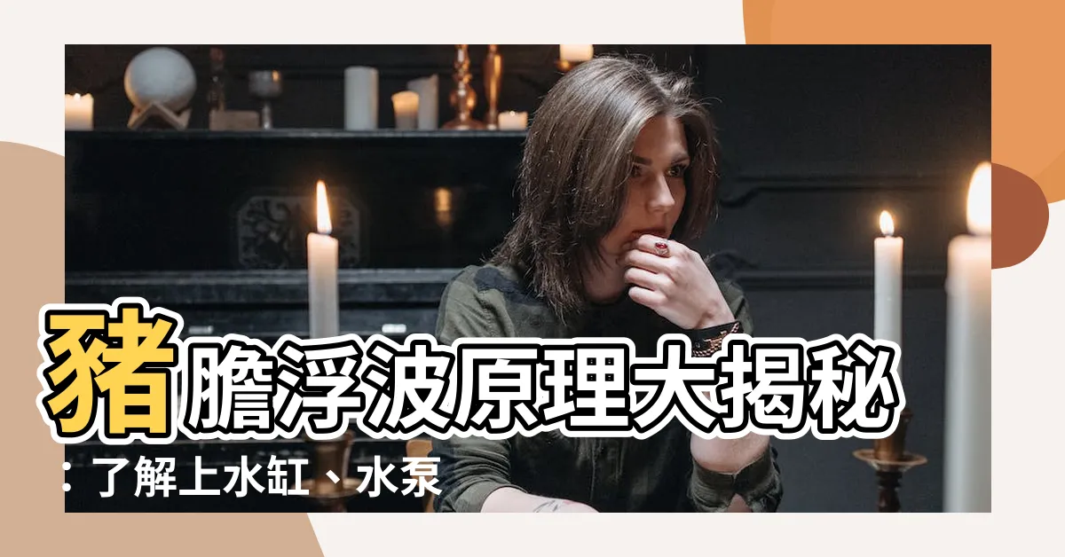 【豬膽浮波原理】豬膽浮波原理大揭秘：瞭解上水缸、水泵運作關鍵