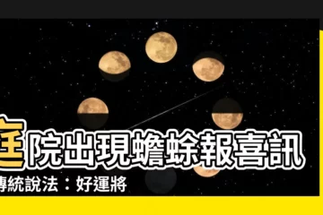 【庭院出現蟾蜍】庭院出現蟾蜍報喜訊！傳統説法：好運將至！