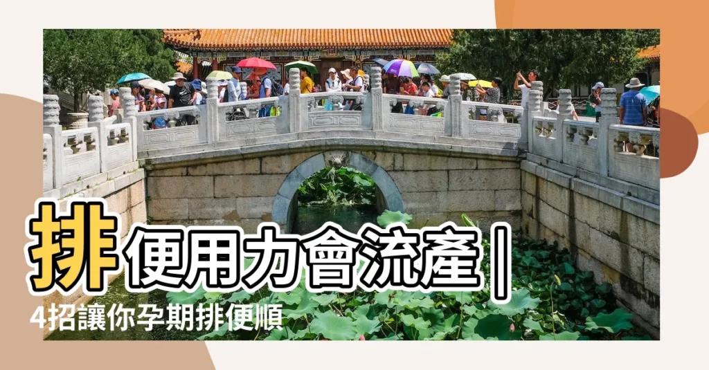 排便用力會流產 |4招讓你孕期排便順暢 |會傷胎兒 |【孕婦拉屎】