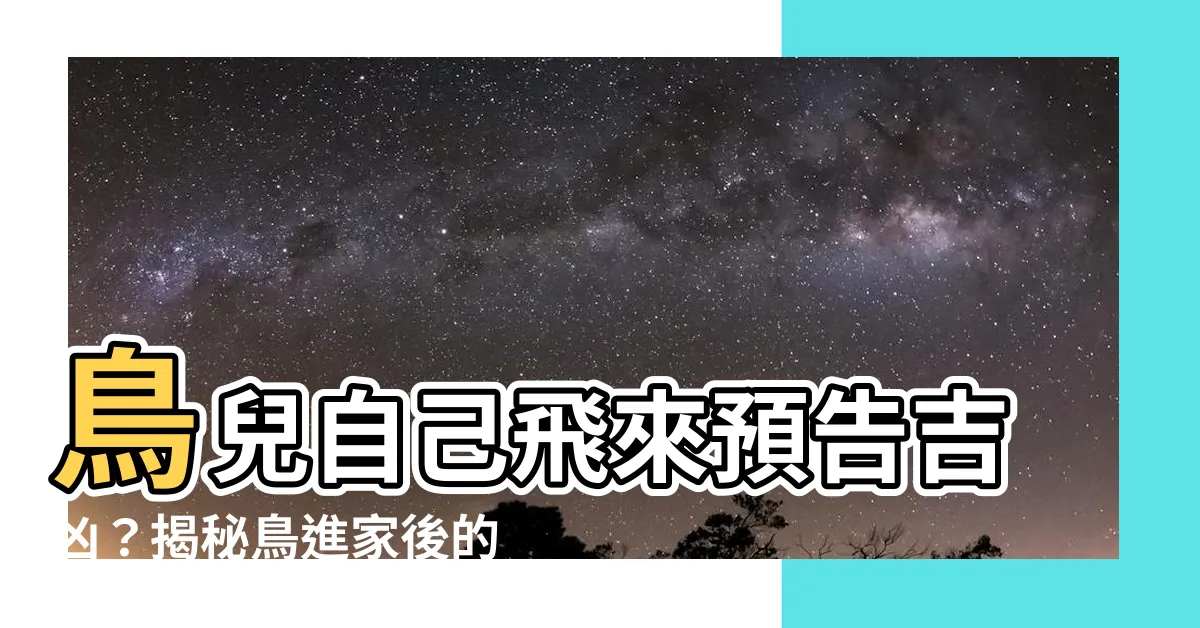 【鳥自己飛來】鳥兒自己飛來預告吉凶？揭秘鳥進家後的徵兆